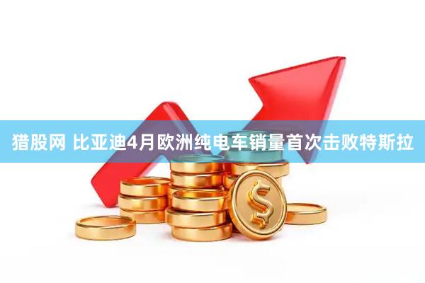 猎股网 比亚迪4月欧洲纯电车销量首次击败特斯拉