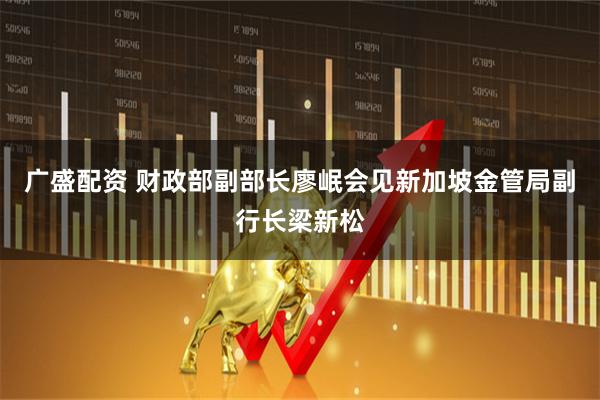 广盛配资 财政部副部长廖岷会见新加坡金管局副行长梁新松